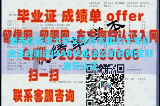 新布伦瑞克大学文凭样本|假的大专毕业证去哪造|UAB毕业证公司官网|定制海牙认证