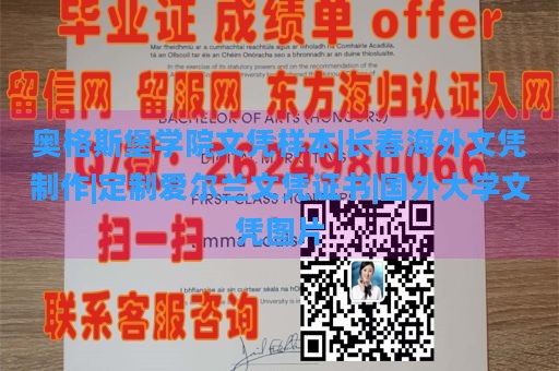 奥格斯堡学院文凭样本|长春海外文凭制作|定制爱尔兰文凭证书|国外大学文凭图片